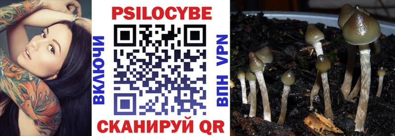 купить  сайты  Лихославль  hydra   сайты даркнета формула  Псилоцибиновые грибы GOLDEN TEACHER 